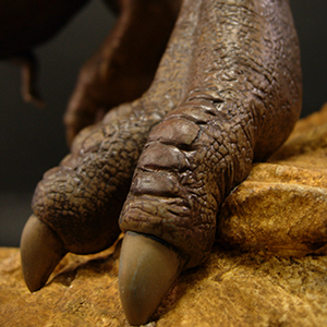 ティラノサウルス足のアップ画像